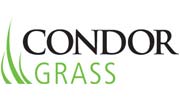 logo-condor-grass